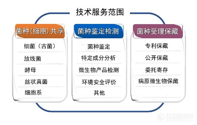 菌种改造是生物制造的关键环节，它直接决定了下游化合物的生产效率